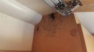 Microguard 12month Pack Caravan & Rv Antimicrobial Disinfectant Mist Applicator, PLUS FREE 60ml Non-alcoholic Hand Sanitiser And Shipping. 8 Microguard 12month Pack Caravan & Rv Antimicrobial Disinfectant Mist Applicator, PLUS FREE 60ml Non-alcoholic Hand Sanitiser And Shipping. - Image 6