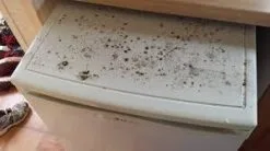 Microguard 12month Pack Caravan & Rv Antimicrobial Disinfectant Mist Applicator, PLUS FREE 60ml Non-alcoholic Hand Sanitiser And Shipping. 12 Microguard 12month Pack Caravan & Rv Antimicrobial Disinfectant Mist Applicator, PLUS FREE 60ml Non-alcoholic Hand Sanitiser And Shipping. -Carbon Offroad Sales vJ6a5I5 WQg4kZs hruH3dG3U